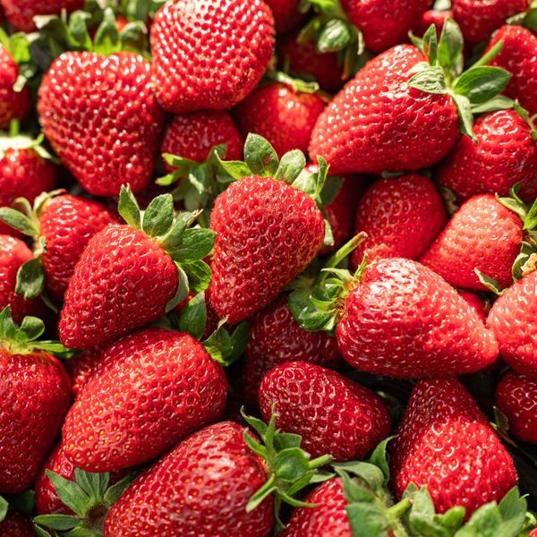 Fragole in una vaschetta